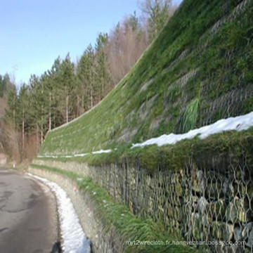 Panier de Gabion hexagonal galvanisé par mur de soutènement en pierre